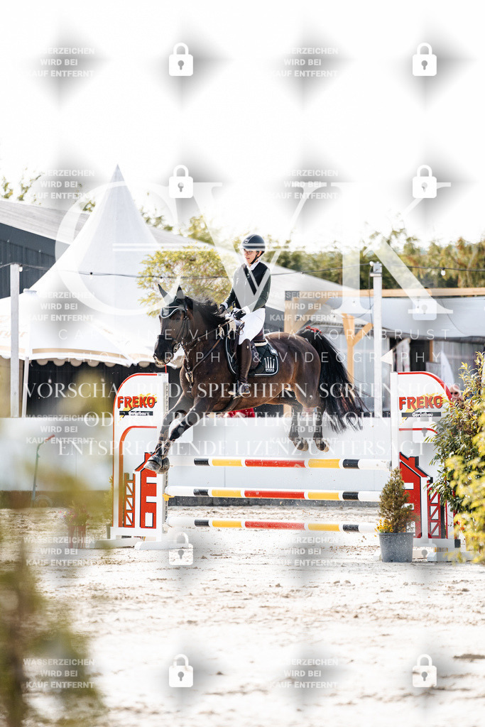 CK905533 | Turnierfotografie Pferdefotografie Trier Rheinland-Pfalz Pferdesport Reitsport Tierfotografie Sportfotografie Pferdevideo Pferdevideografie Equestrianvideography equestrianphotography  - Realisiert mit Pictrs.com