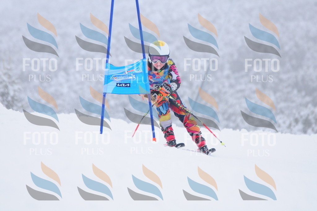 C3381 | holidayphoto