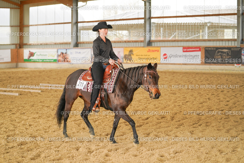 DSC04517 | Pferdegrafie