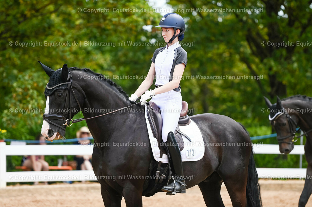 20230715_05_Dressurprüfung Kl.A++_0135 | equistock