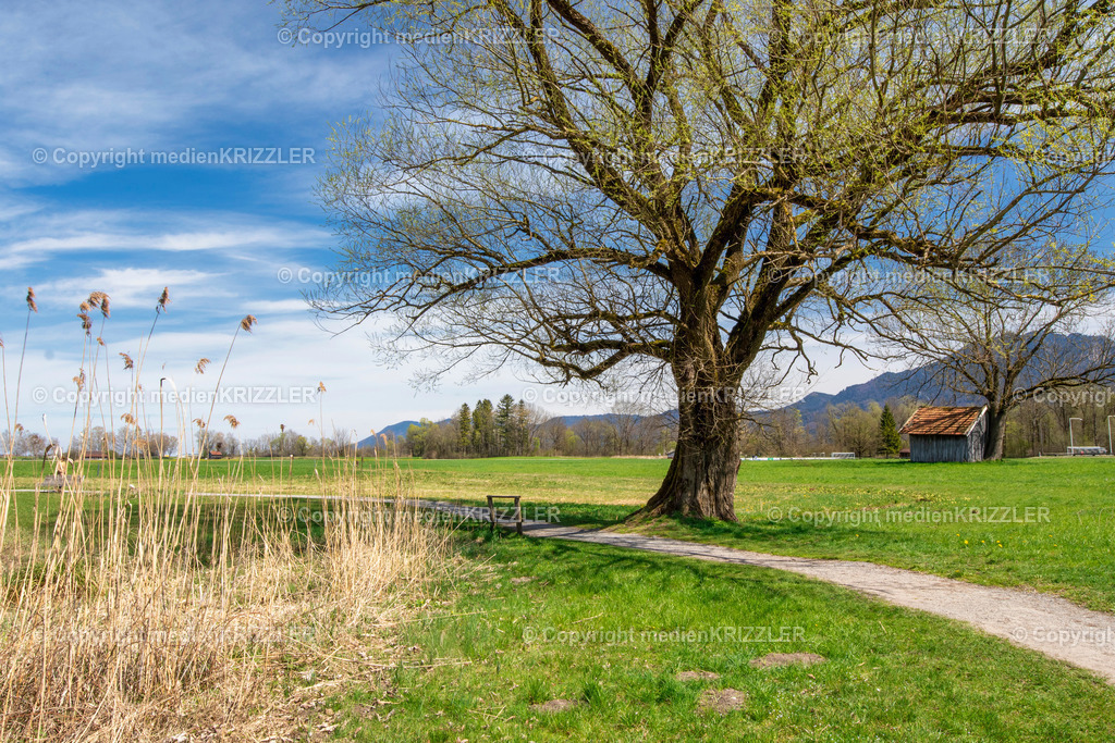 _07A7315 | medienkrizzler - Realisiert mit Pictrs.com