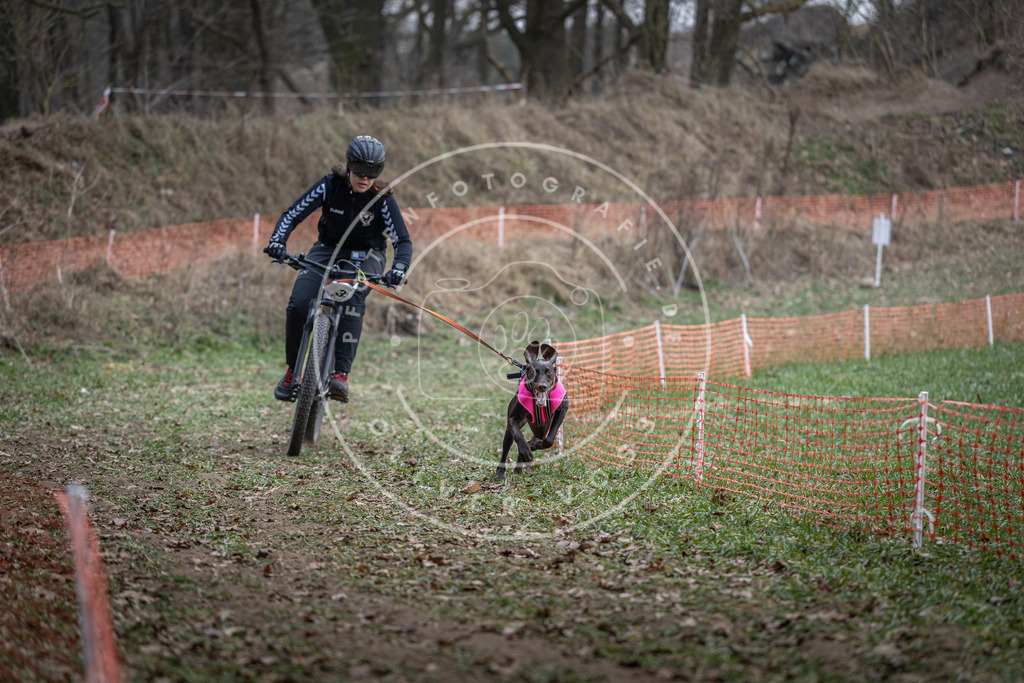 Pfotenfotografie_DV3A9584 | Hundefotografie, Tierfotograf, Pfotenfotografie, Fotoshooting Hund, Hunde Portrait, Hundesport, Hundeportraits, Heideshooting, Hunde, Sportfotograf, Hundefotograf, Turnierhundsport, THS,  - Realisiert mit Pictrs.com