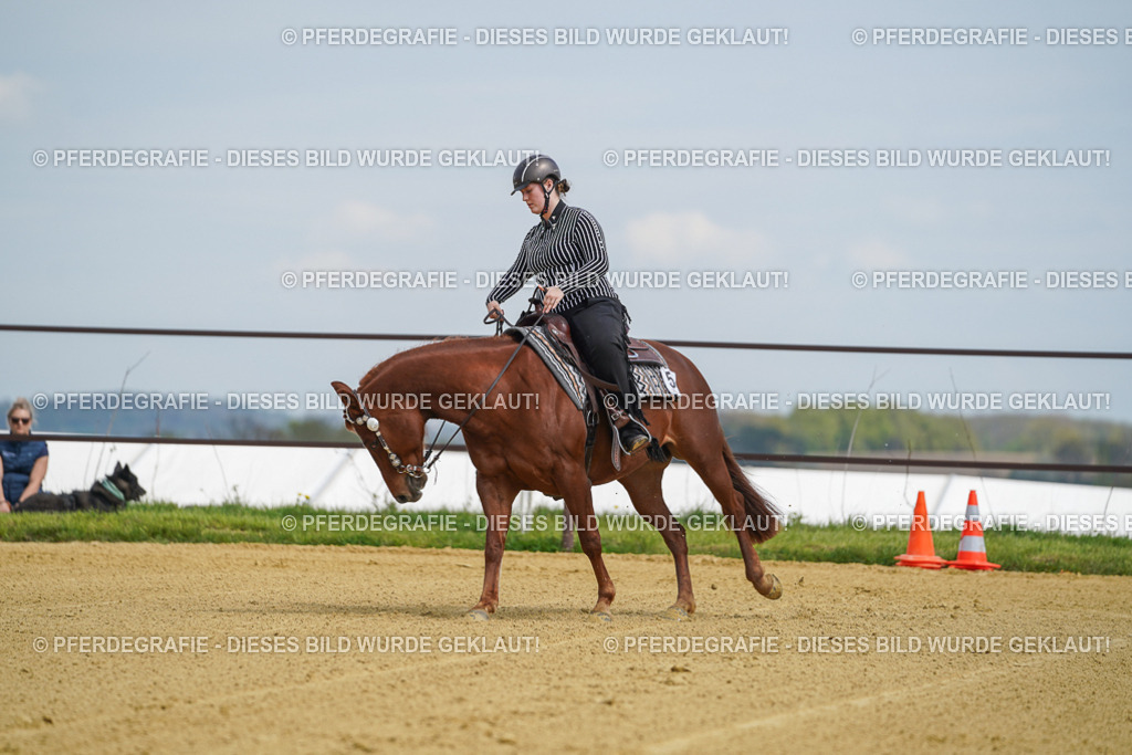 DSC05608 | Pferdegrafie