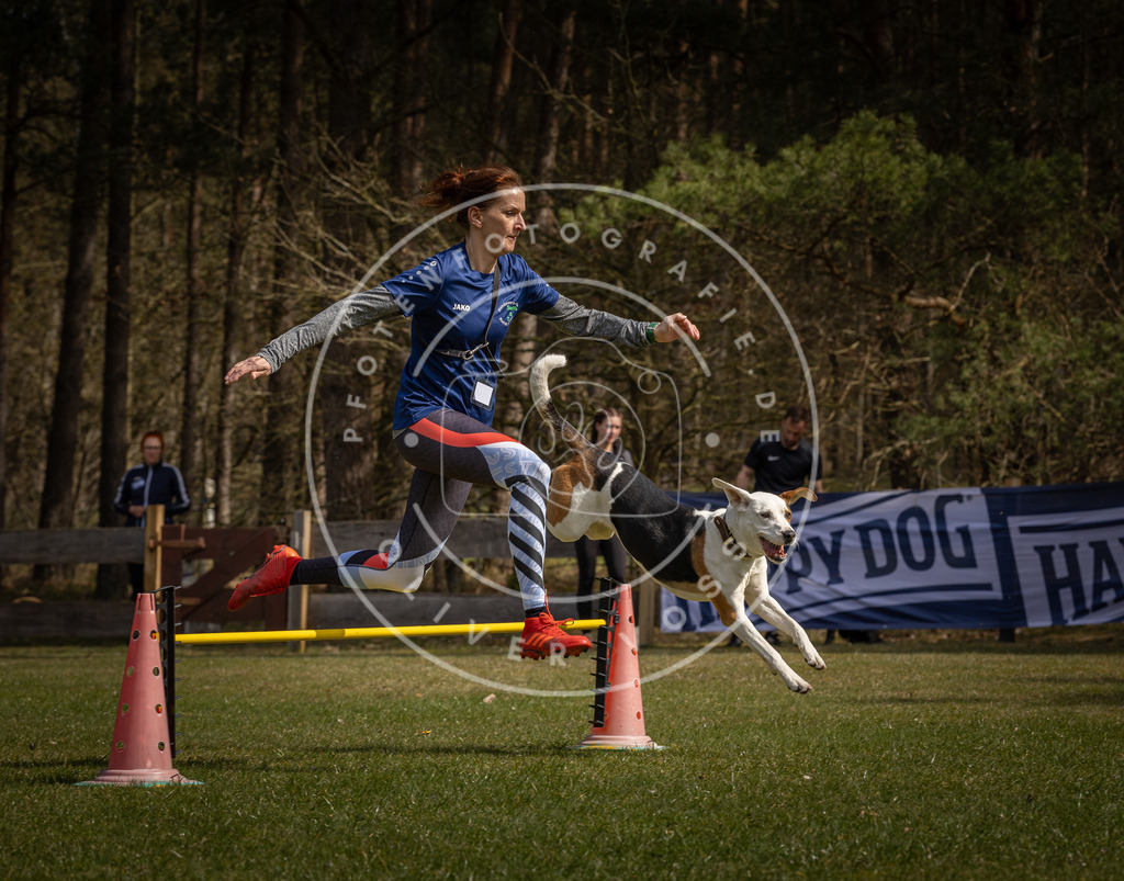 Pfotenfotografie_DV3A3586 | Hundefotografie, Tierfotograf, Pfotenfotografie, Fotoshooting Hund, Hunde Portrait, Hundesport, Hundeportraits, Heideshooting, Hunde, Sportfotograf, Hundefotograf, Turnierhundsport, THS,  - Realisiert mit Pictrs.com