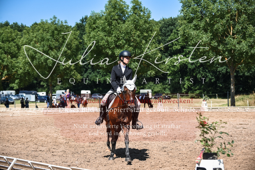 DSC_3068 | Pferde- und Turnierfotografie in Westsachsen. Pferdeportraits, Auftragszeichnungen und intuitive Kunst.