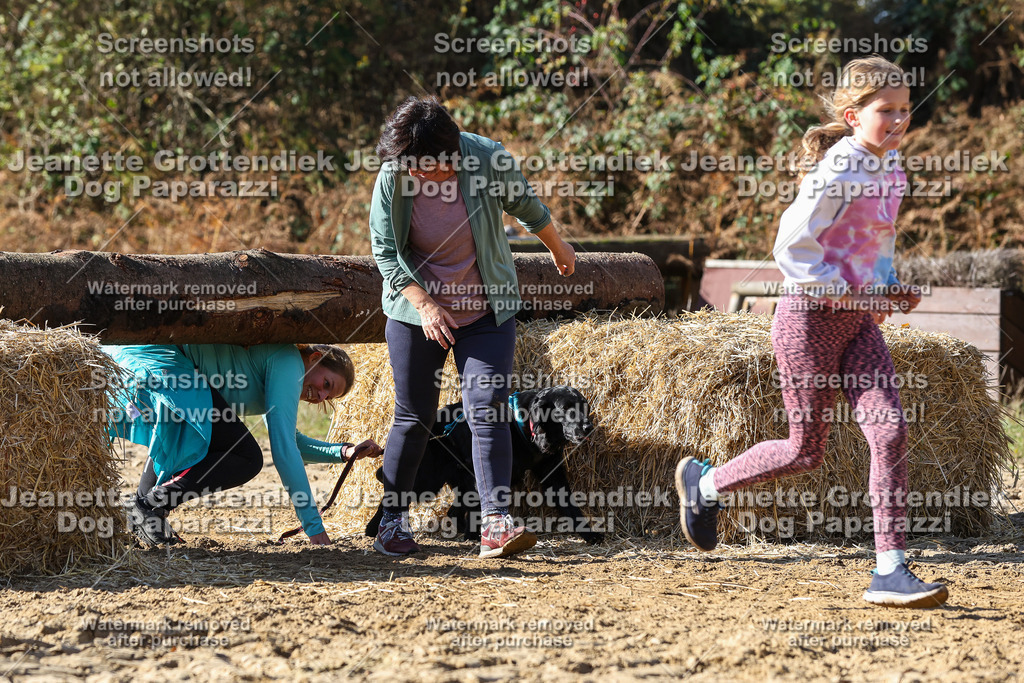 Dog Paparazzi - Strongdog 10-25-4768 | Dog Paparazzi Jeanette Grottendiek Fotografie & Videografie - Realisiert mit Pictrs.com