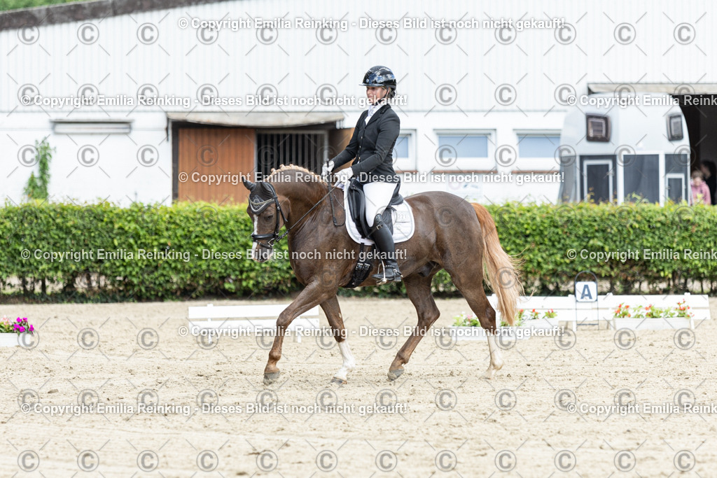 CL5A4369-2 | Emilia Reinking Fotografie - Realisiert mit Pictrs.com