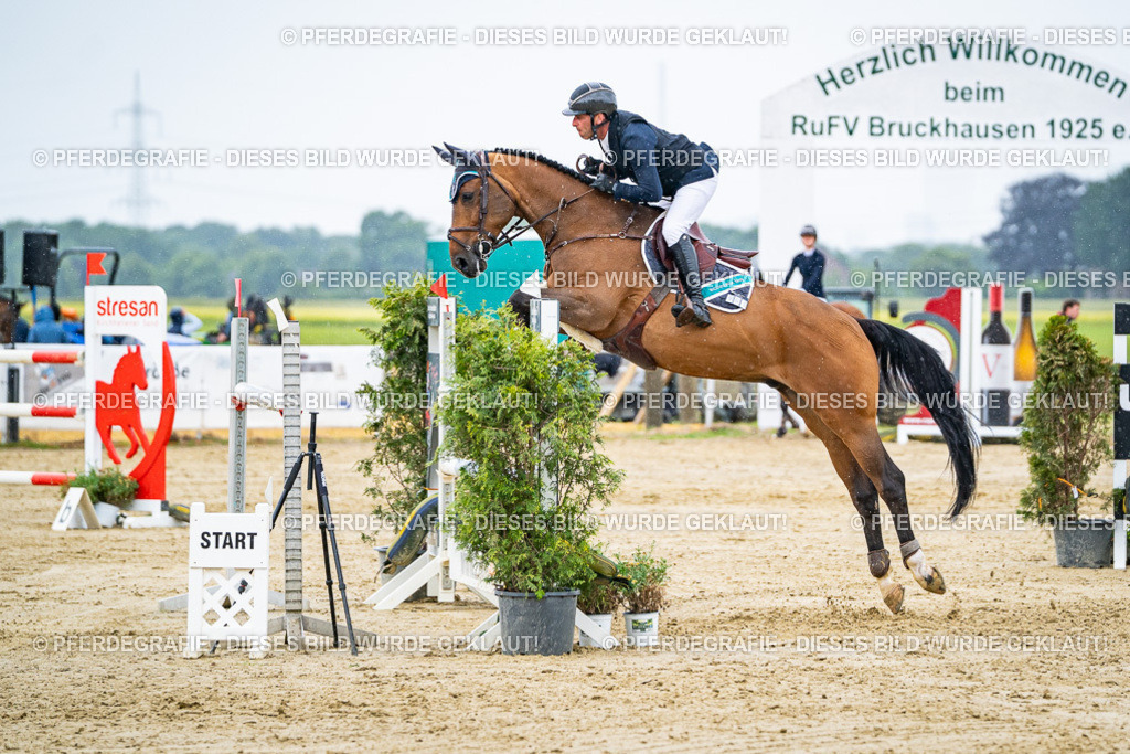 DSC08638 | Pferdegrafie