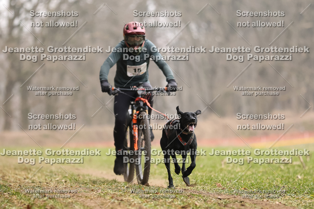 Dog Paparazzi - Plate 2026-54 | Dog Paparazzi Jeanette Grottendiek Fotografie & Videografie - Realisiert mit Pictrs.com