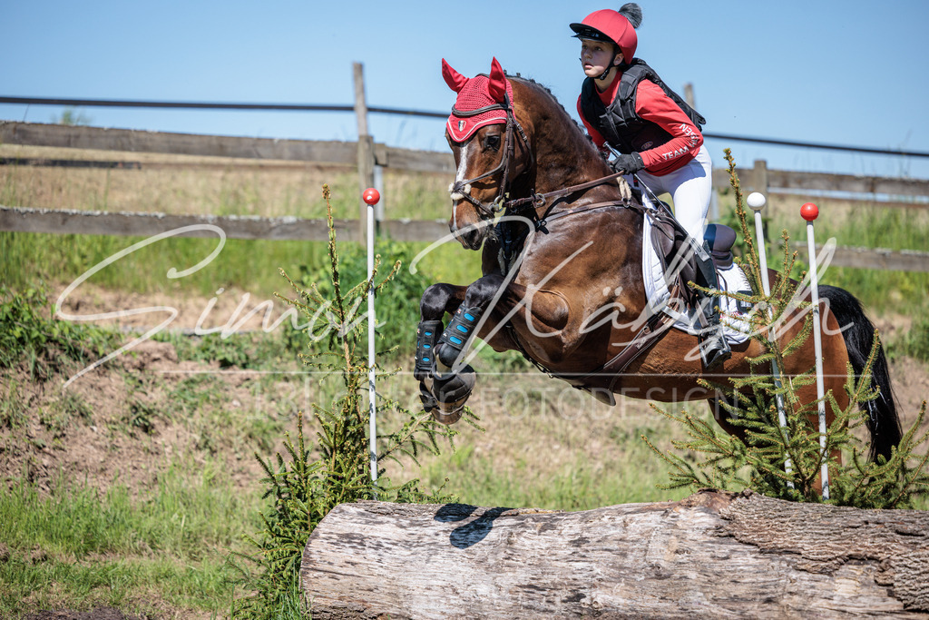 20260523-_3LI7578 | Tierfotografie Pferde, Hunde, Katzen, Haustiere.
Turnierfotografie Reitturniere, Reiten, Springreiten, Dressur in Hanau, dem Main-Kinzig-Kreis und dem Rhein-Main- Gebiet um Frankfurt