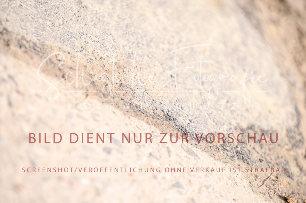 Schugtsche-Aluta25-52.Dressurprf.M2Kand-73 | Schugtsche Fotografie - Realized with Pictrs.com