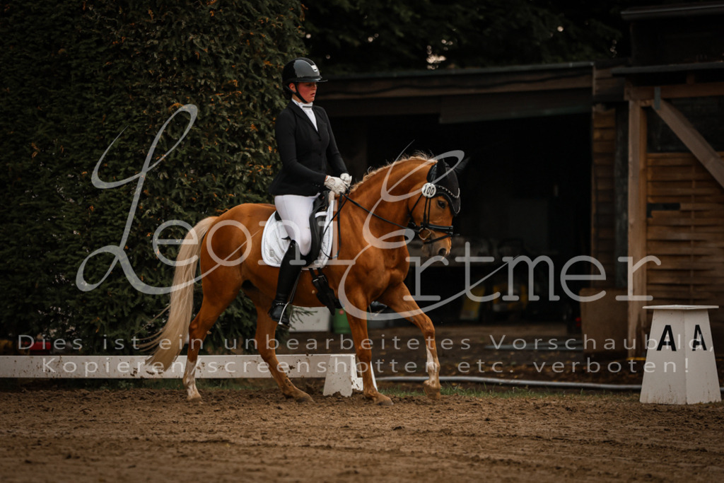 17.SoDrL00219 | Leoni Ertmer Photography - Realisiert mit Pictrs.com