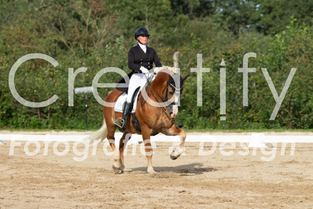 IMG_4500 | Creatify Fotografie