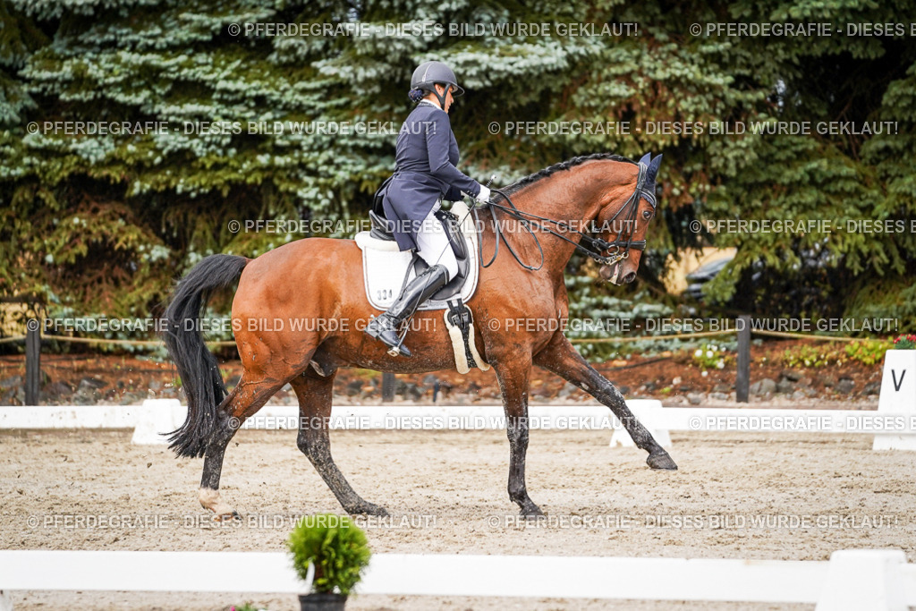 DSC09761 | Pferdegrafie