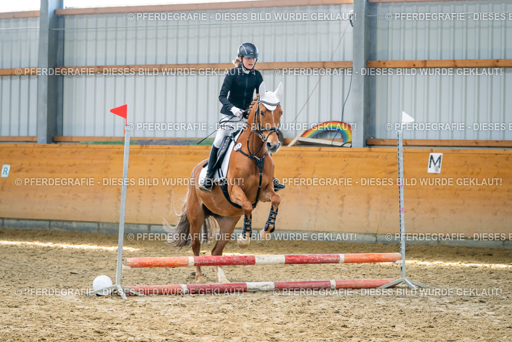 DSC01874 | Pferdegrafie