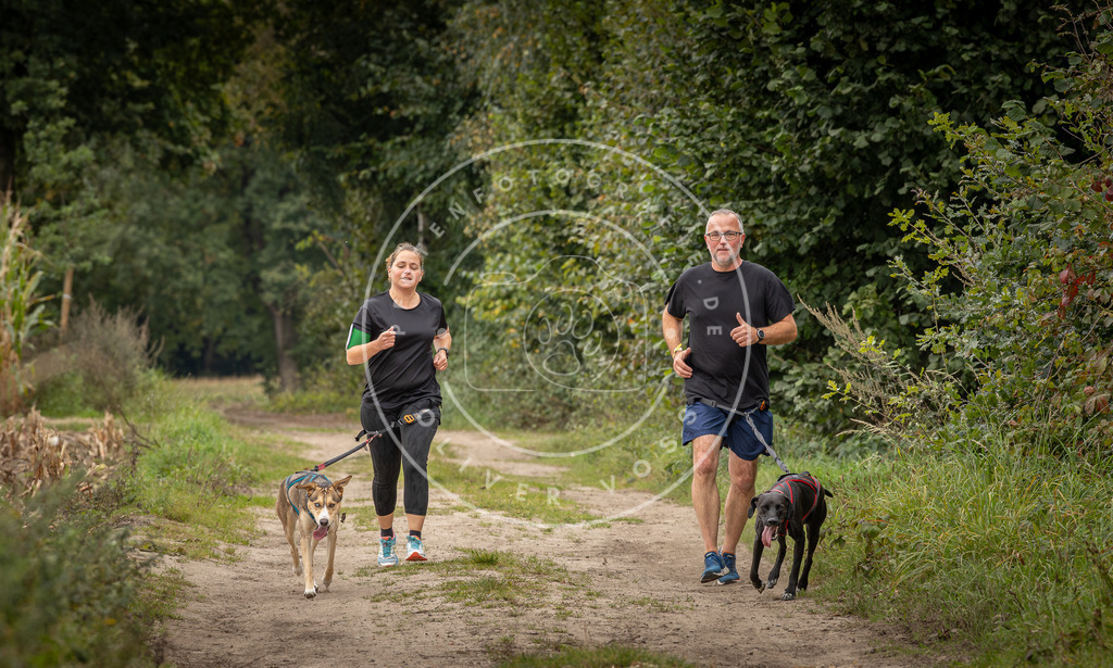 Pfotenfotografie_DV3A7469 | Hundefotografie, Tierfotograf, Pfotenfotografie, Fotoshooting Hund, Hunde Portrait, Hundesport, Hundeportraits, Heideshooting, Hunde, Sportfotograf, Hundefotograf, Turnierhundsport, THS,  - Realisiert mit Pictrs.com