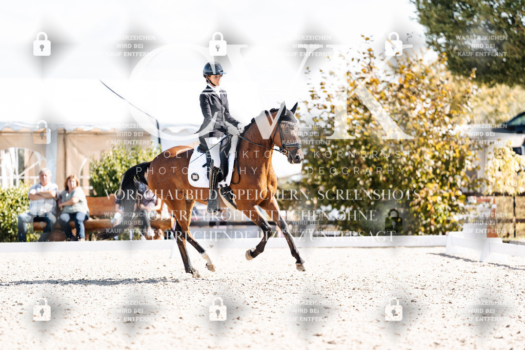 CK902713 | Turnierfotografie Pferdefotografie Trier Rheinland-Pfalz Pferdesport Reitsport Tierfotografie Sportfotografie Pferdevideo Pferdevideografie Equestrianvideography equestrianphotography  - Realisiert mit Pictrs.com
