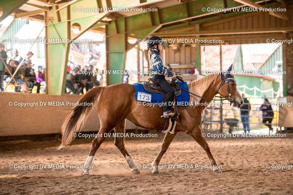 Balingen Tag 1-431 | dv-media-shop - Realisiert mit Pictrs.com