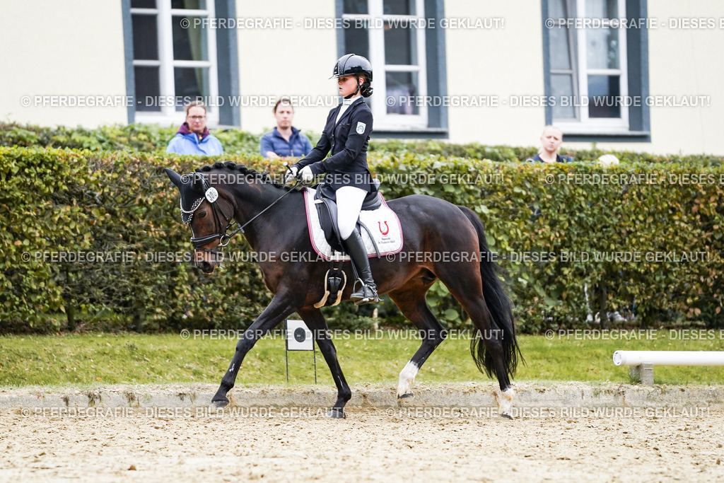 DSC01895 | Pferdegrafie
