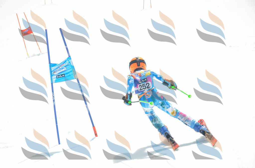 _ELE7572 | holidayphoto