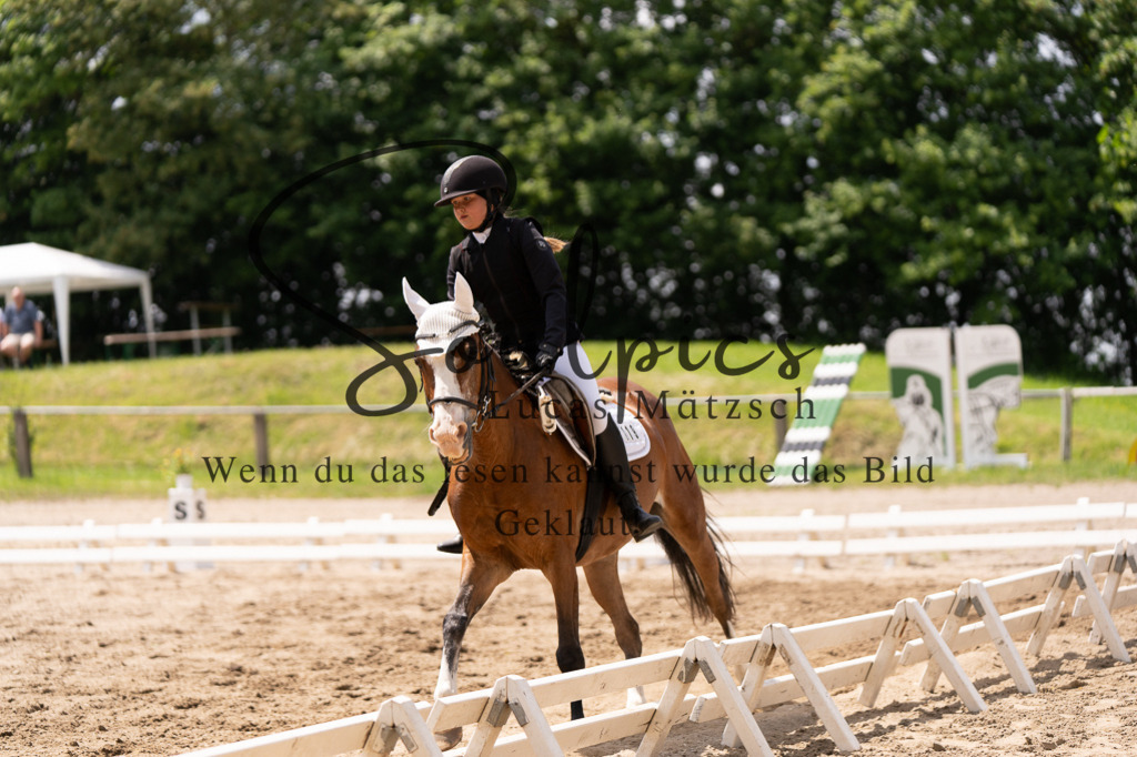 A7506029 | Turnier/Reitfotograf