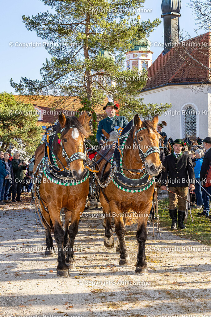 LBT25-1373 | foto-bettina-krinner - Realisiert mit Pictrs.com