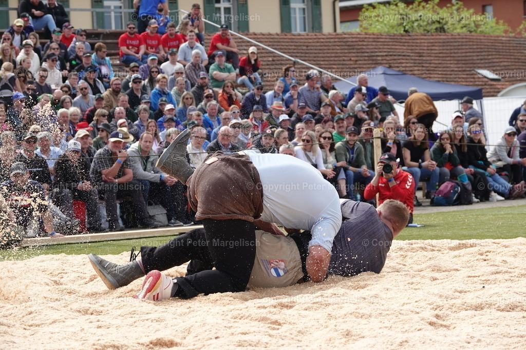 DSC03641 | Schwingen - Realisiert mit Pictrs.com