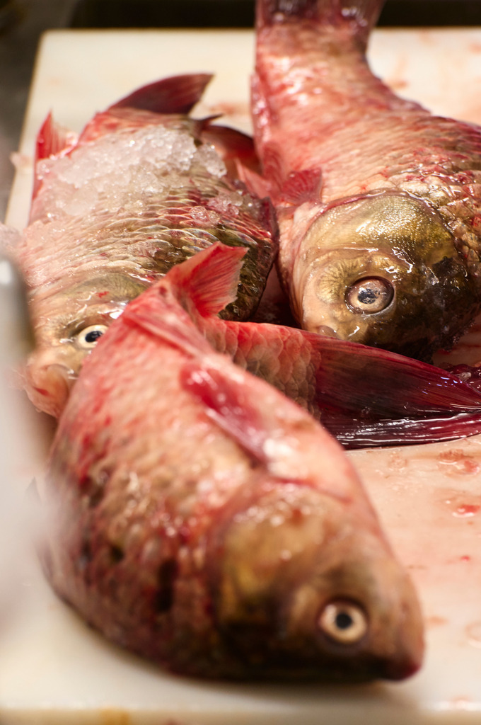 Detailaufnahmen in der Fischfabrik | San Feliciano, Italien - August 31, 2016: Lago Trasimeno: Pescheria Pescatori del Trasimeno; Detailaufnahmen in der Fischfabrik. - Realisiert mit Pictrs.com