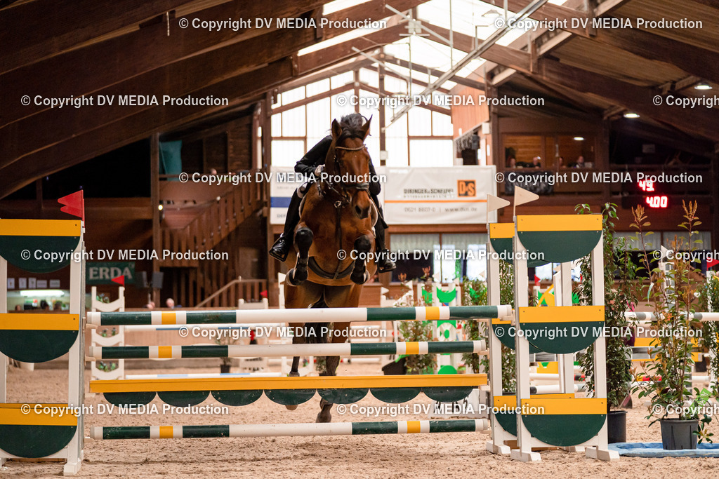 Springen Tag 1-561 | dv-media-shop - Realisiert mit Pictrs.com