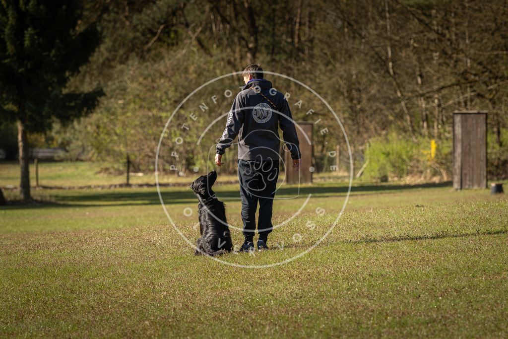 Pfotenfotografie_DV3A0125 | Hundefotografie, Tierfotograf, Pfotenfotografie, Fotoshooting Hund, Hunde Portrait, Hundesport, Hundeportraits, Heideshooting, Hunde, Sportfotograf, Hundefotograf, Turnierhundsport, THS,  - Realisiert mit Pictrs.com