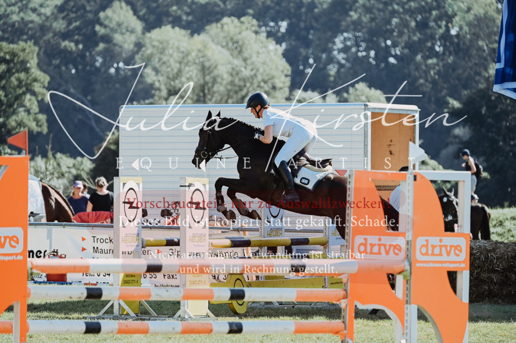 DSC_5688 | Pferde- und Turnierfotografie in Westsachsen. Pferdeportraits, Auftragszeichnungen und intuitive Kunst.