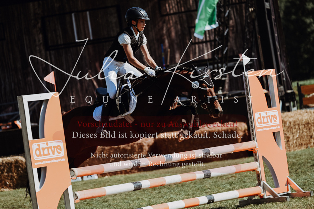 DSC_6818 | Pferde- und Turnierfotografie in Westsachsen. Pferdeportraits, Auftragszeichnungen und intuitive Kunst.