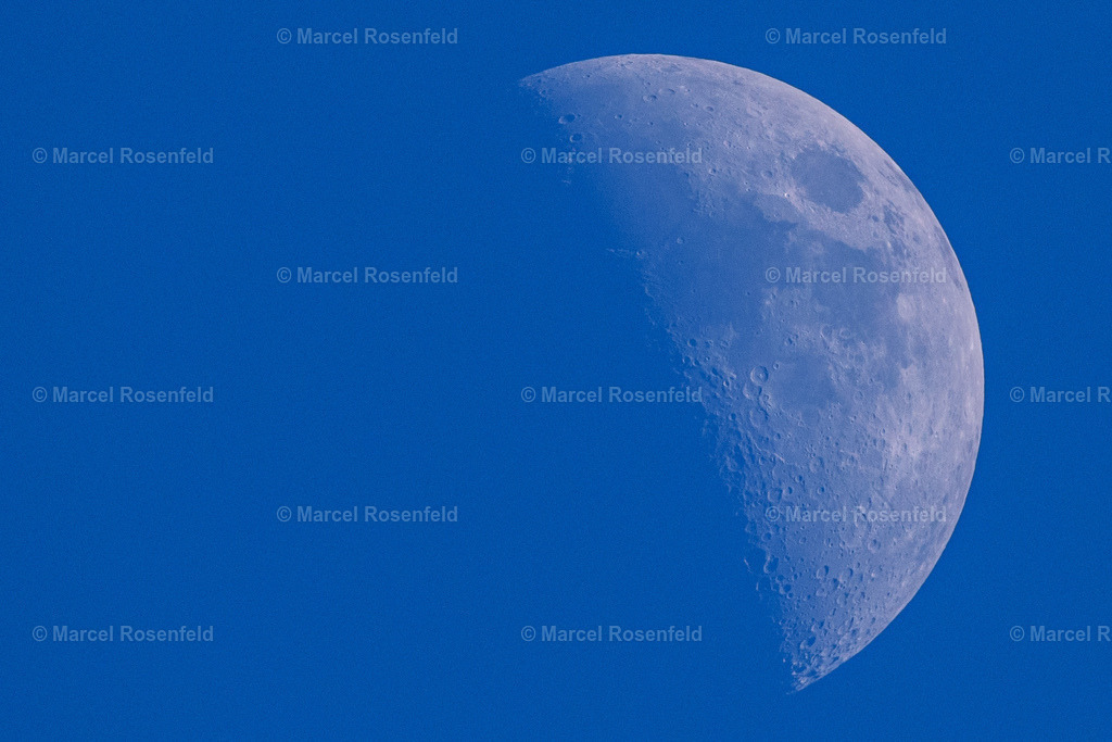 _DSC2225 | foto-rosenfeld