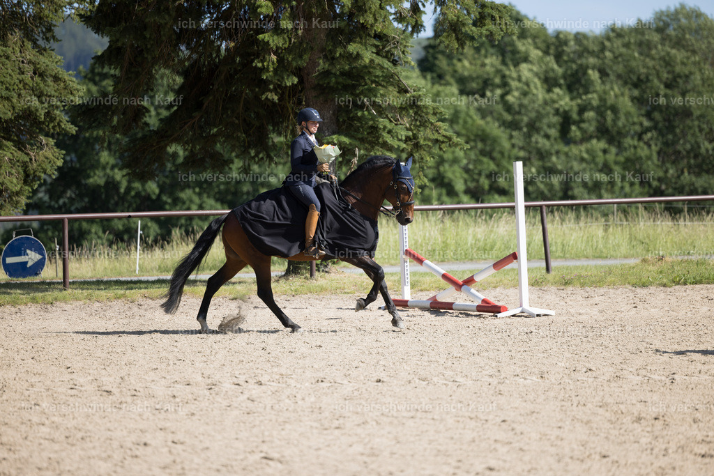 Siegerehrung_stoibphotography_C2_C9870.CR3-2 | working equitationturnier fotograf videograf stoibphotography marixx film working equitation deutschland reitsport turnierfotografie eventfotografie equestrian events
