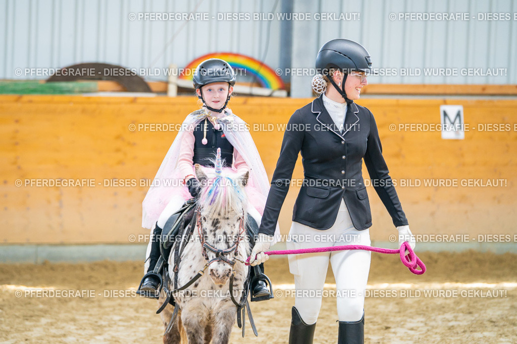 DSC00529 | Pferdegrafie