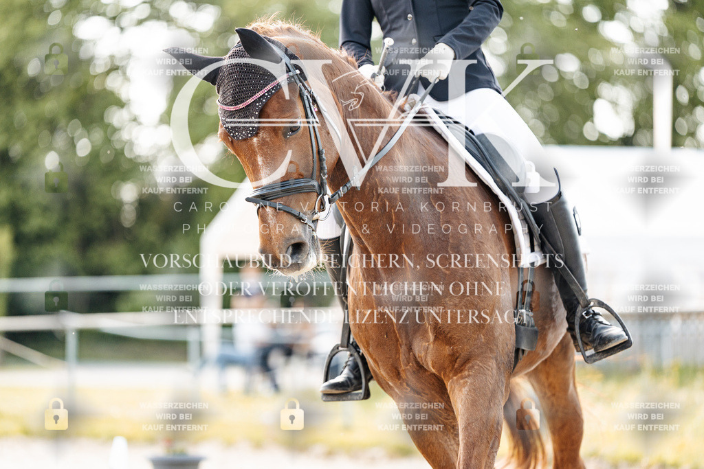 CK909752 | Turnierfotografie Pferdefotografie Trier Rheinland-Pfalz Pferdesport Reitsport Tierfotografie Sportfotografie Pferdevideo Pferdevideografie Equestrianvideography equestrianphotography  - Realisiert mit Pictrs.com