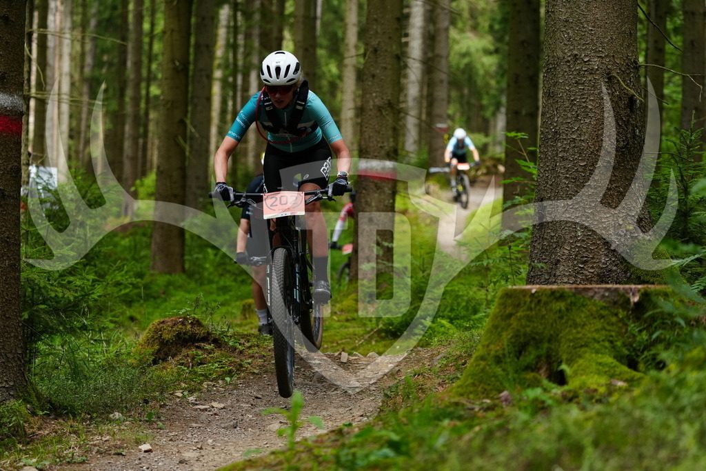 FC100432 | Fotogalerie der Treibjagd im Dunkelwald - Dein MTB Etappenrennen im Erzgebirge - Realisiert mit Pictrs.com