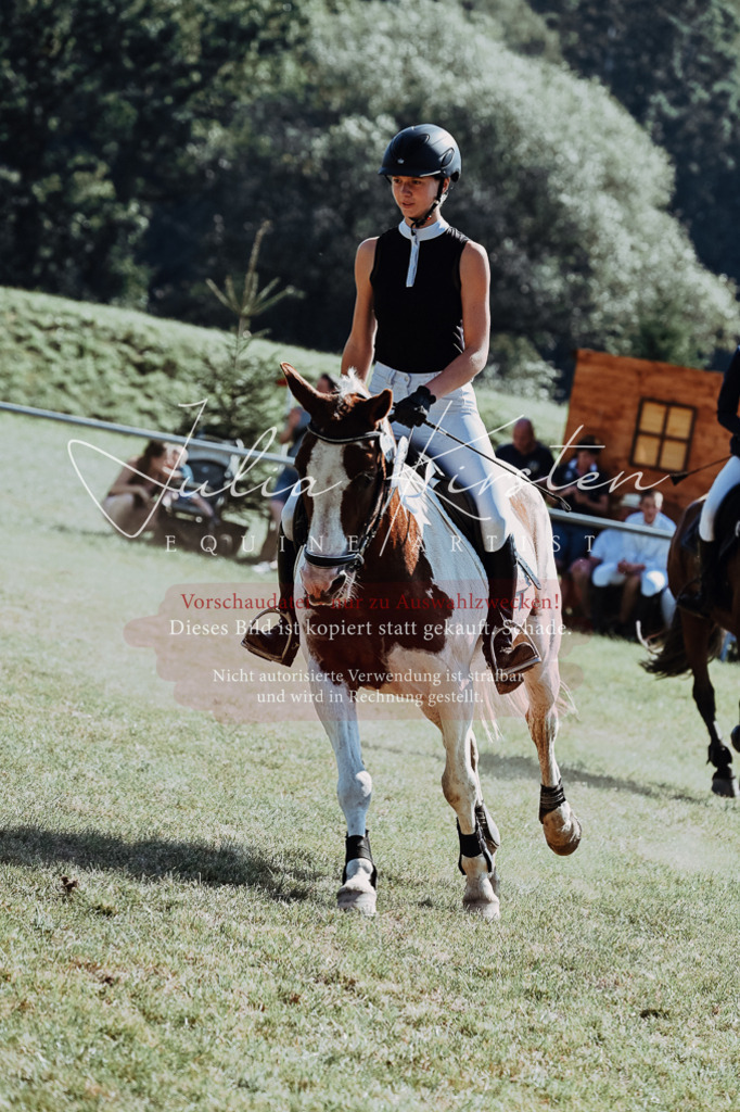 DSC_6227 | Pferde- und Turnierfotografie in Westsachsen. Pferdeportraits, Auftragszeichnungen und intuitive Kunst.