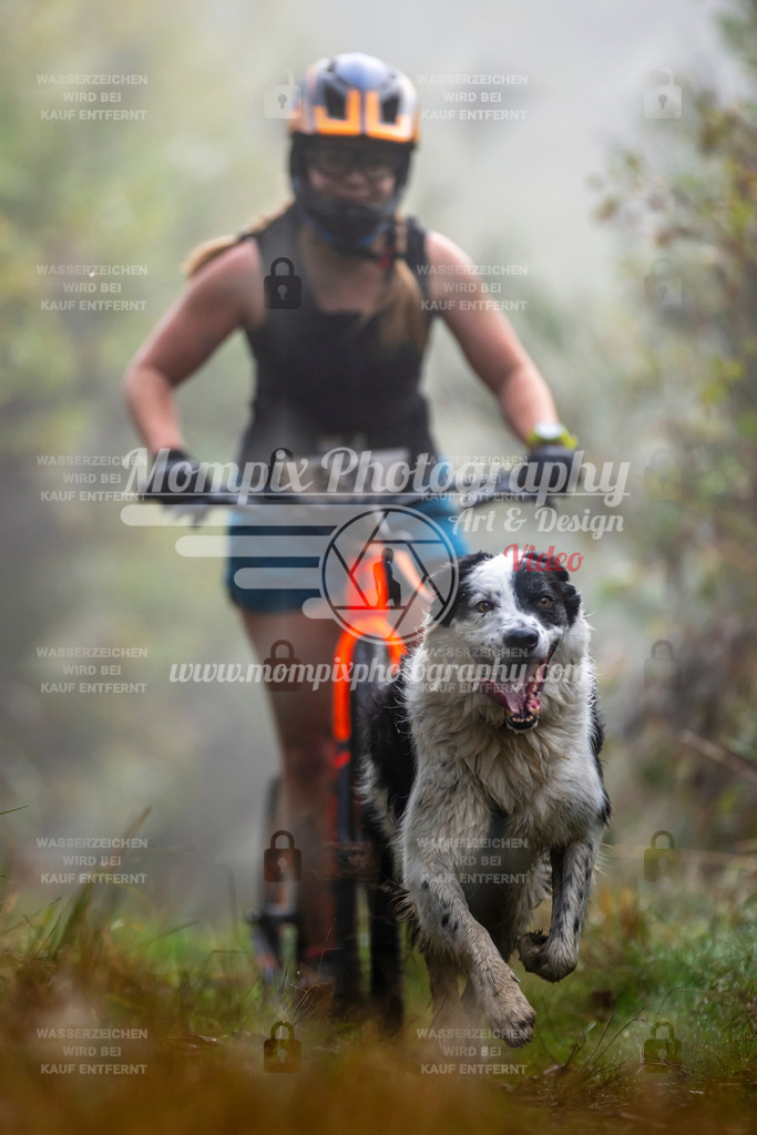 MompixPhotography_20TSB_E4_DS1-62 | PayLife