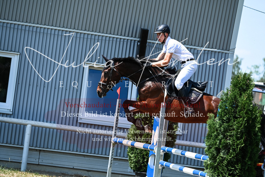 DSC_0378 | Pferde- und Turnierfotografie in Westsachsen. Pferdeportraits, Auftragszeichnungen und intuitive Kunst.