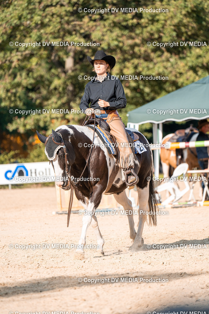 ZH100853 | dv-media-shop - Realisiert mit Pictrs.com