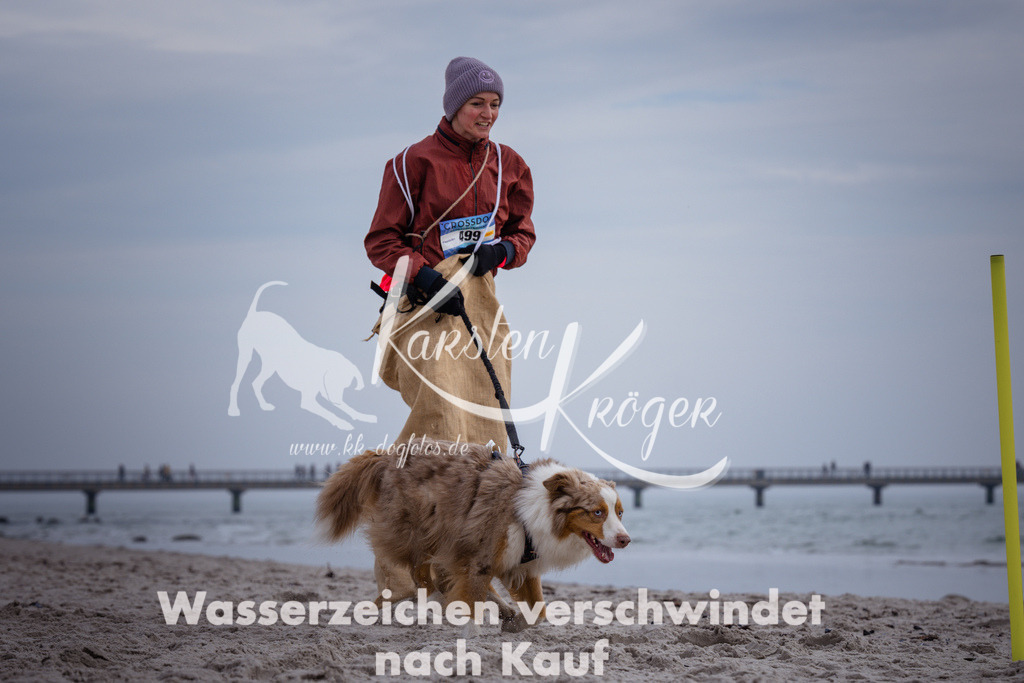 1146_ZZ90569 | kk-dogfotos