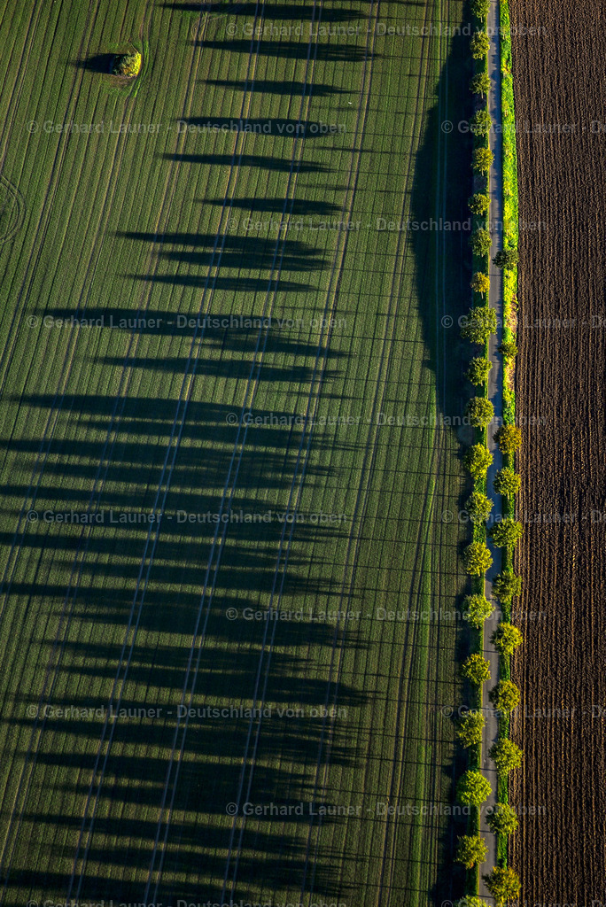 9200610 | Baumallee am Kemnader See, Witten