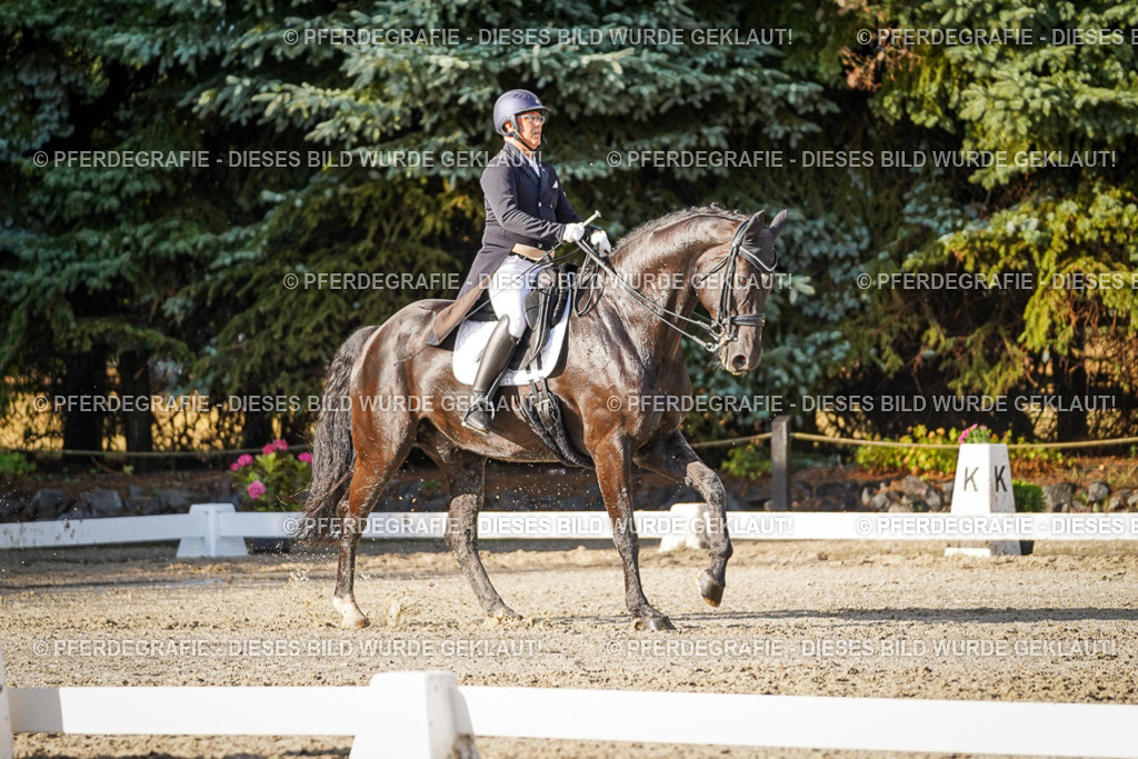 DSC00574 | Pferdegrafie