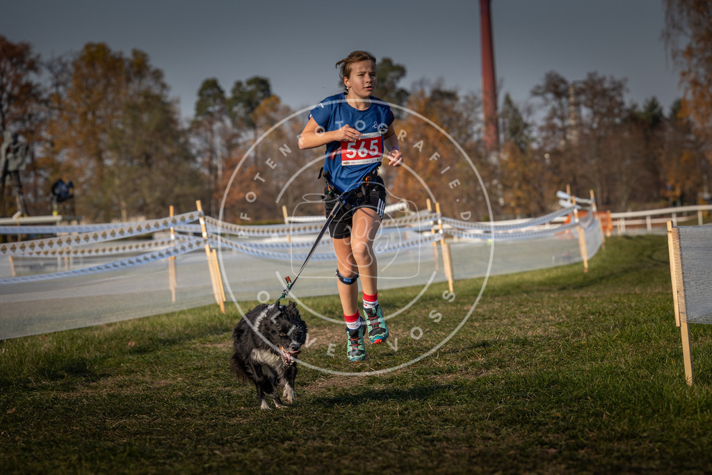 CaniXpix_0L8A9364 | Hundefotografie, Tierfotograf, Pfotenfotografie, Fotoshooting Hund, Hunde Portrait, Hundesport, Hundeportraits, Heideshooting, Hunde, Sportfotograf, Hundefotograf, Turnierhundsport, THS,  - Realisiert mit Pictrs.com