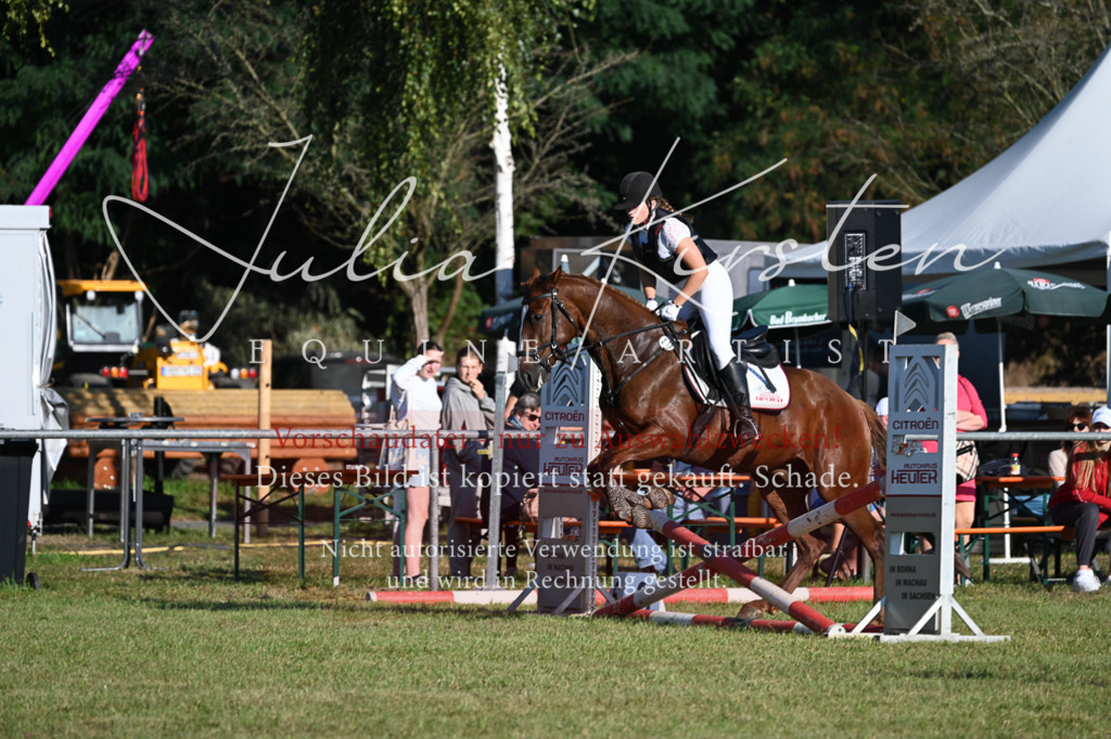 DSC_4706 | Pferde- und Turnierfotografie in Westsachsen. Pferdeportraits, Auftragszeichnungen und intuitive Kunst.