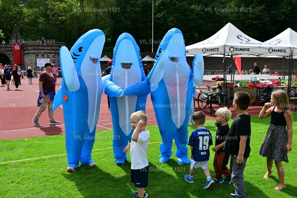 2026-08-23_Sparkassenlauf_Haie_00012 | Die Fotografen - Realisiert mit Pictrs.com