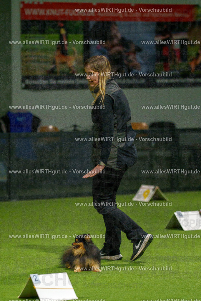 7R508871 | Professionelle Tierfotografie in Mönchengladbach von Daniel Wirth (allesWIRTHgut). Liebevolle & natürliche Bilder von Hunden & Katzen für unvergessliche Erinnerungen.