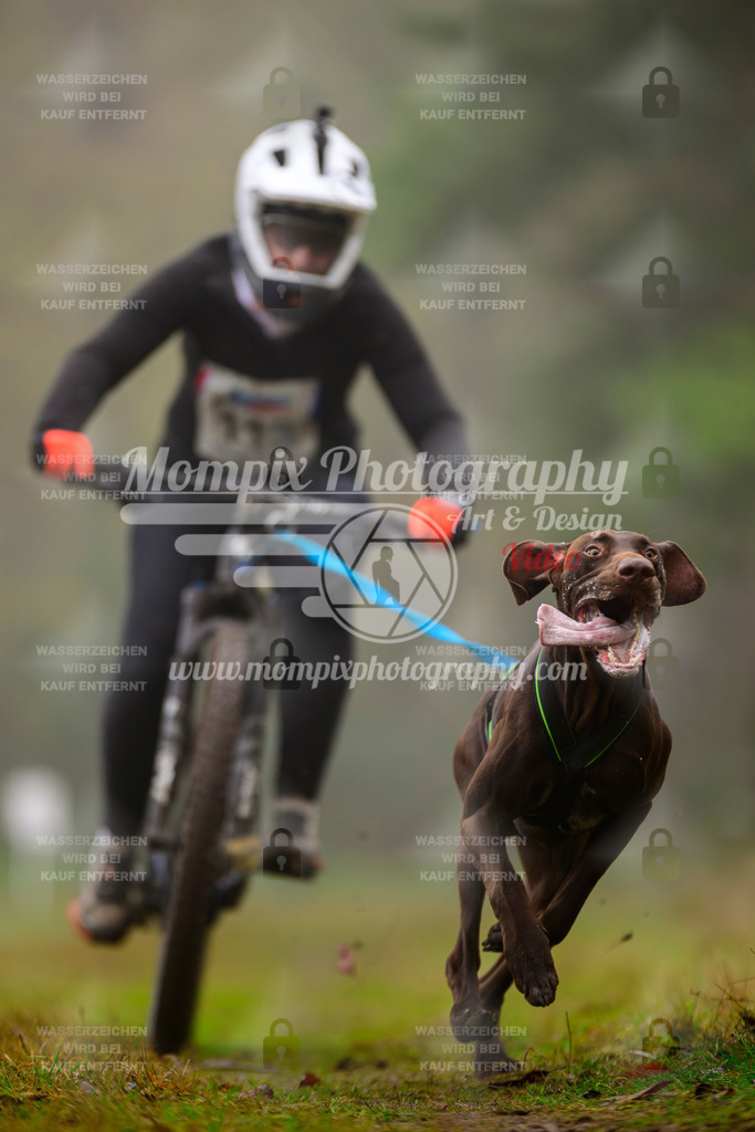 MompixPhotography_Bischwiller2025_Bike-46 | mompixphotography