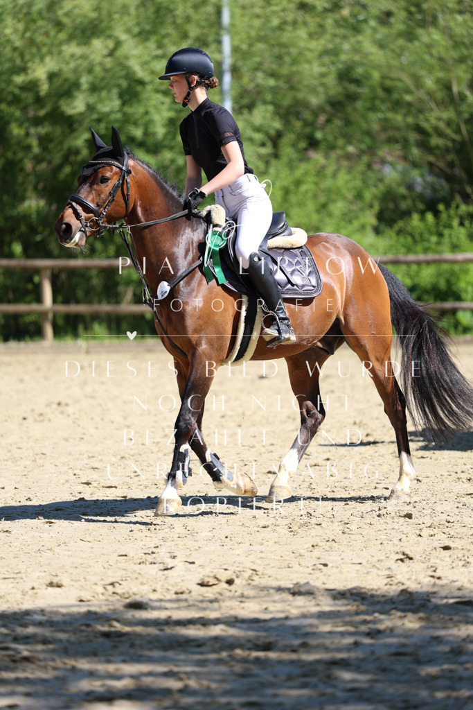 IMGS7079 | pl-fotografie